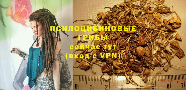 ECSTASY Покачи