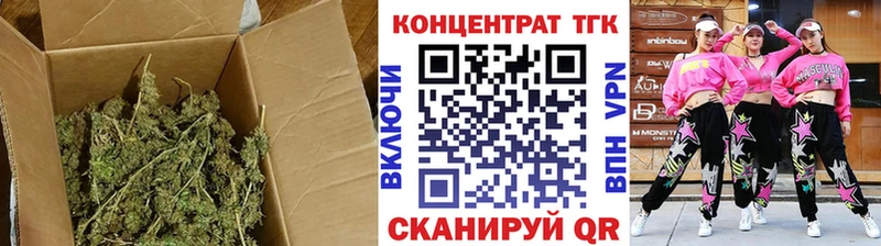 где купить наркоту  Кировск  Дистиллят ТГК концентрат 