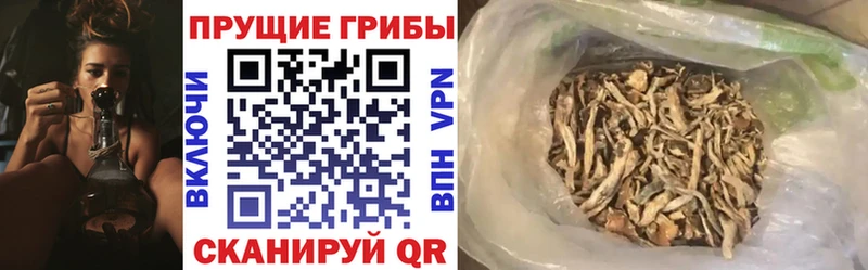 Галлюциногенные грибы прущие грибы Кировск