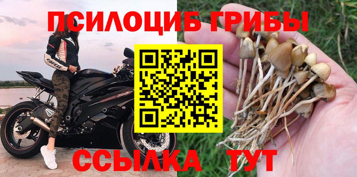 Псилоцибиновые грибы мицелий  Вход с VPN  Кировск 